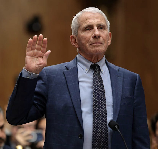 Fauci y el peligro de guillotinar al servidor público profesional