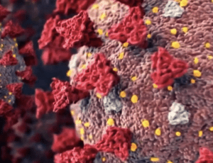Arcturus Virus Covid