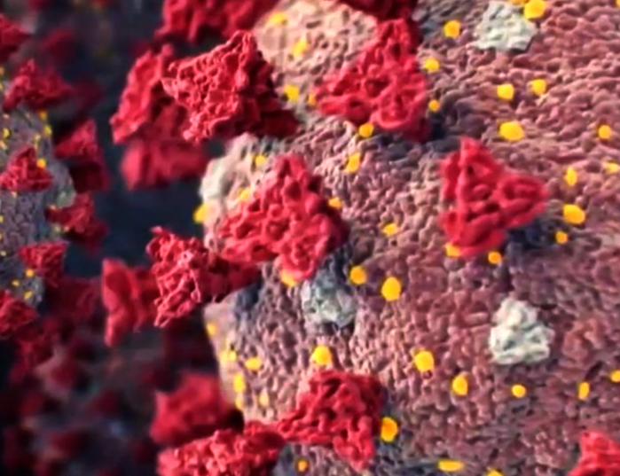 Arcturus Virus Covid