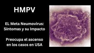 metaneumovirus