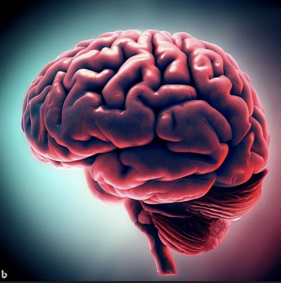 El impacto del consumo de alcohol en el cerebro cognitivo